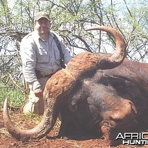 Buffalo hunted with Savanna Hunting Safaris