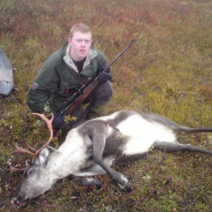 Hunting Reindeer