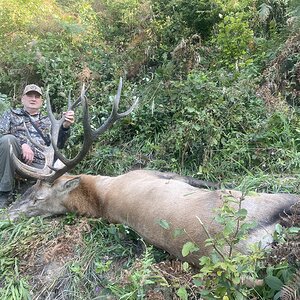 Red Deer Hunt