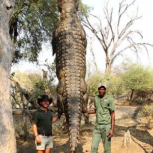 Crocodile Hunt Namibia