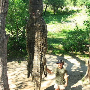 Crocodile Hunt Namibia