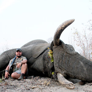 Elephant Hunt  Namibia