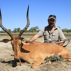 Impala Hunt Namibia