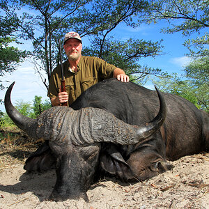 Buffalo Hunt Namibia