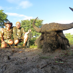 Buffalo Hunt Namibia