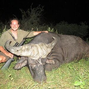 Buffalo Hunt Namibia