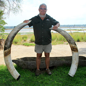 Elephant Tusks