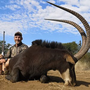 Sable Hunt South Africa