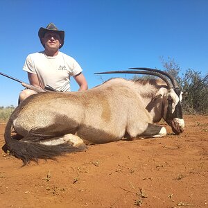 Gemsbok Hunt