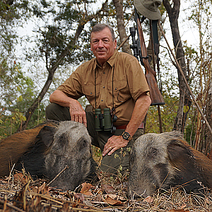 Bushpig Hunting Mozambique