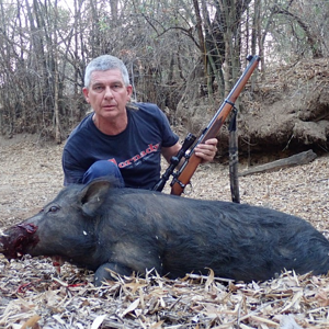 Bushpig Hunting