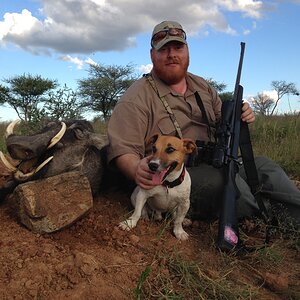 Warthog Hunt Namibia