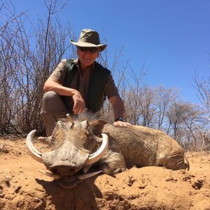 Warthog Hunting South Africa