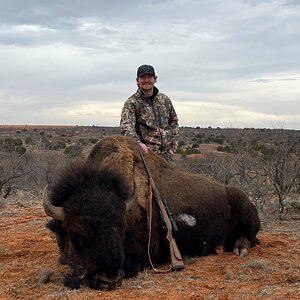 Bison Hunting