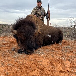 Bison Hunting