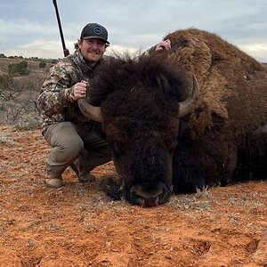 Bison Hunting