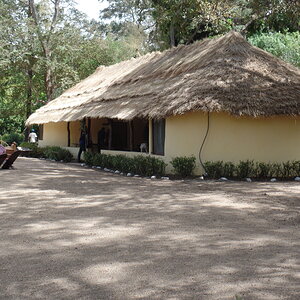 Cameroon Hunt With JKO HUNTING SAFARIS