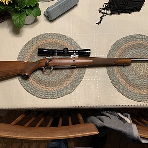 Ruger Hawkeye Rifle