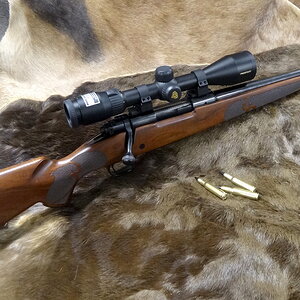 Winchester M70 308 With 20 Inch Barrel