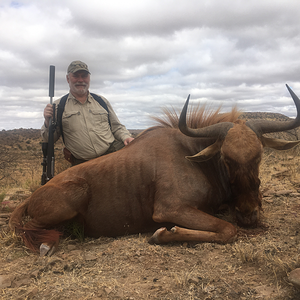 Golden Wildebeest Hunt Eastern Cape South Africa