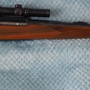 .375 H & H Magnum Pre-64 Winchester Model 70