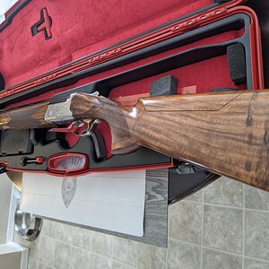 Caesar Guerini Shotgun