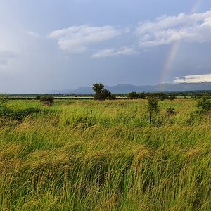 Nature South Africa