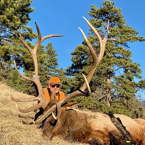 Elk Hunting