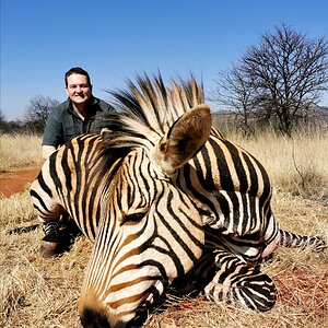 Plains Zebra Hunting