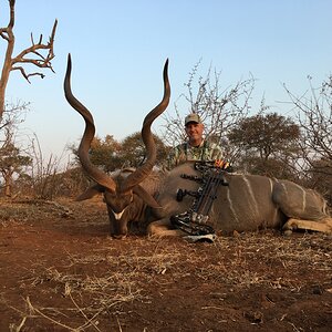 Bow Hunting Kudu