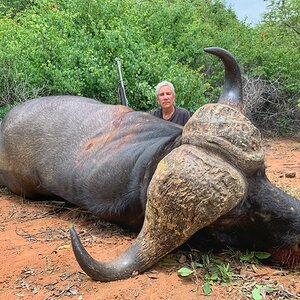 Buffalo Hunt South Africa With Kwalata Safaris