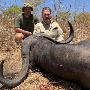 Buffalo Hunt Mozambique With Kwalata Safaris