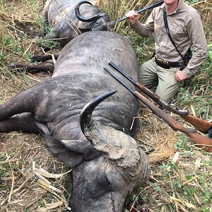 Buffalo Hunt Mozambique With Kwalata Safaris