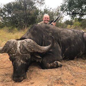 Buffalo Hunt Mozambique With Kwalata Safaris