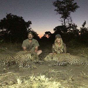 Leopard Hunt Caprivi Bwabwata National Park Namibia