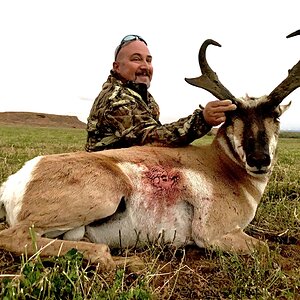 Hunting Pronghorn