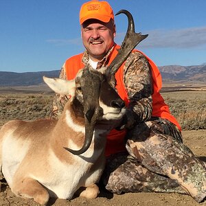 Colorado Hunting Pronghorn