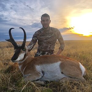 Hunting Pronghorn Southern Alberta