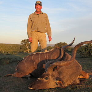 Kudu Hunting Eastern Cape South Africa