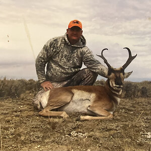 Pronghorn Antelope Hunting