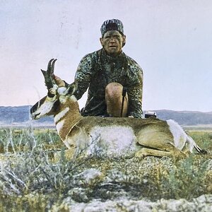 Pronghorn Antelope Hunting