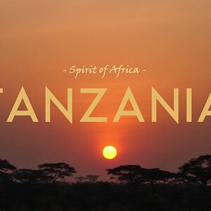 Tanzania Spirit Of Africa