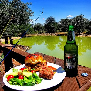 Brunch at the Wetland dam