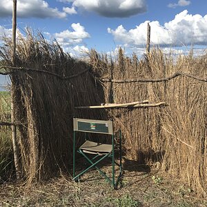 Hunting Blind Zambia