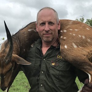 Bushbuck Hunting Zambia