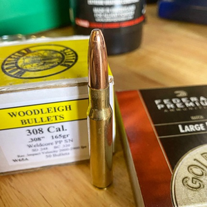 30-06 Ammunition 165 Grain Woodleigh