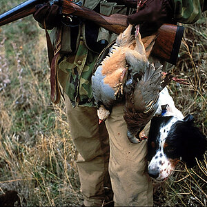 Hunting Chukars