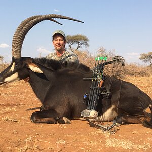 Sable Hunting South Africa