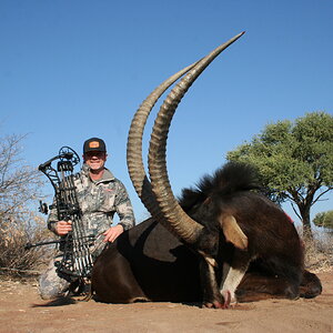 Sable Hunting South Africa