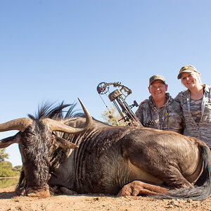 Blue Wildebeest South Africa Hunt